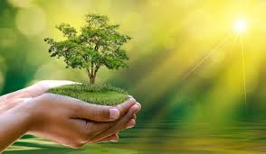 environmental