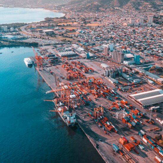 When you want to see why customs taking so long wit yuh ting!