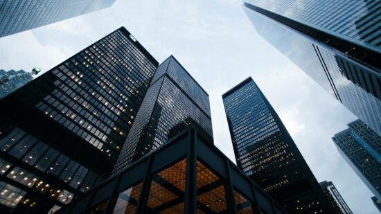 Taller than the Trees This image has 98 million views on Unsplash and over 1 million downloads. If you'd like to support me as a creator, please consider sending a donation via Paypal: https://paypal.me/SeanPollockON?country.x=CA&locale.x=en_US