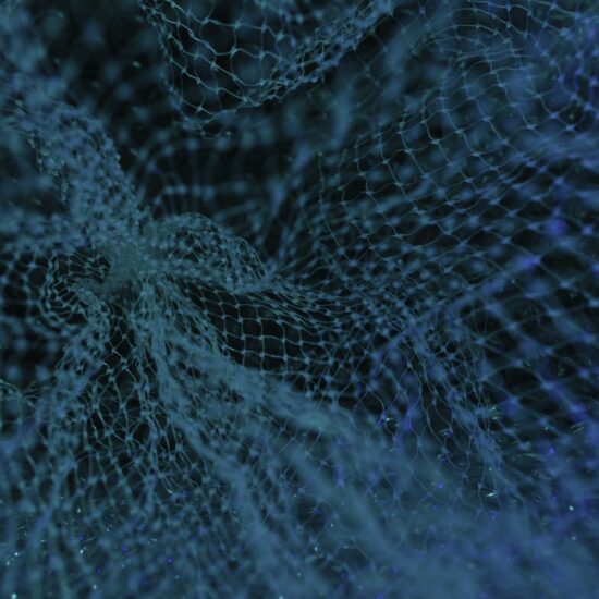 This photo was taken in a school bench, with a mesh for fruit, a blue lantern and a camera Nikon D500, it represent the depth of the ocean and the internet.